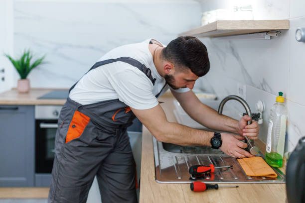 Best Toilet Repair Services  in Leland Grove, IL