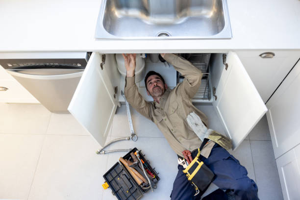Best Local Plumber Services  in Leland Grove, IL