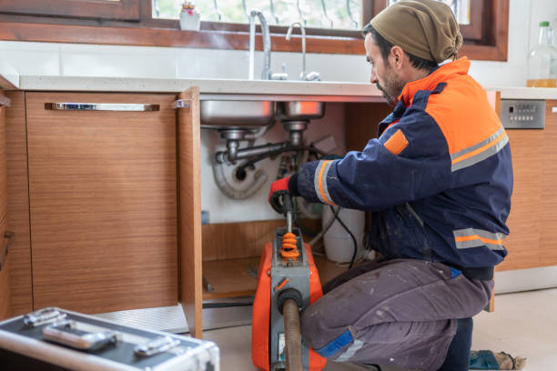 Best Clogged Drain Plumber  in Leland Grove, IL